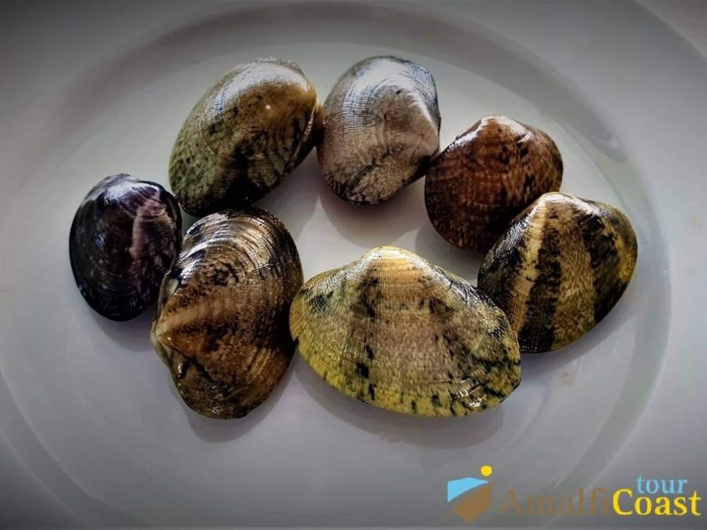 Ristorante Lido Azzurro - paisanelle clams